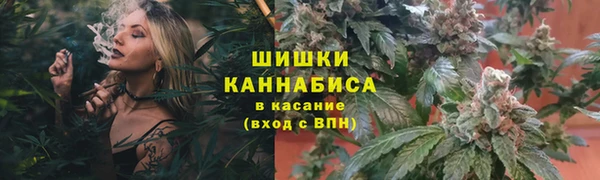 ГАЛЛЮЦИНОГЕННЫЕ ГРИБЫ Балахна
