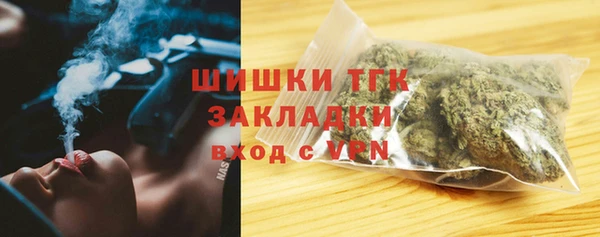 ГАЛЛЮЦИНОГЕННЫЕ ГРИБЫ Балахна