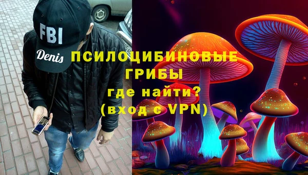 ГАЛЛЮЦИНОГЕННЫЕ ГРИБЫ Балахна