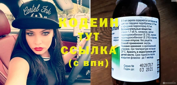 индика Баксан