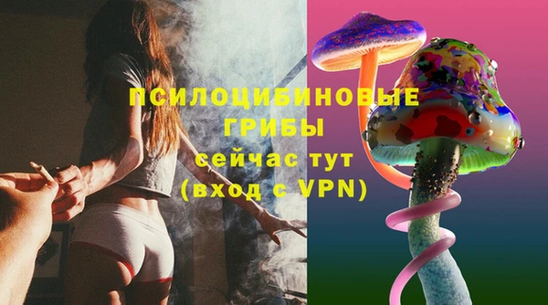 ГАЛЛЮЦИНОГЕННЫЕ ГРИБЫ Балахна